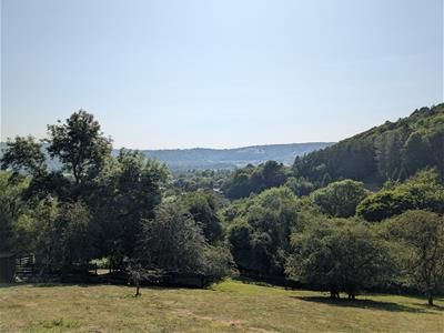 Picture 45